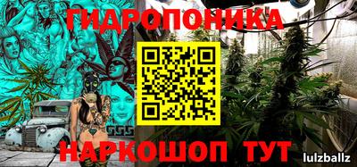 PSILOCYBIN Бугуруслан