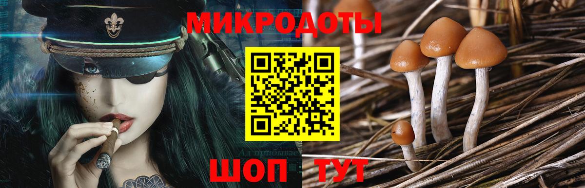Галлюциногенные грибы прущие грибы Сухой Лог